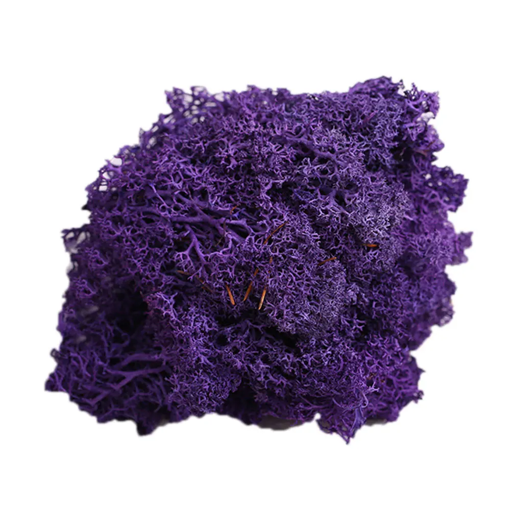 Искусственное растение сохраненный Цветок Олень мох DIY Ремесло Сад домашний декор - Цвет: Dark Purple