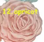 Number 12 2 шт./лот, 3," Матовая атласная цветки пиона и розы зажим для волос, большая тканевая пачка волос Цветочные заколки, свадебные аксессуары для волос - Цвет: Number 12