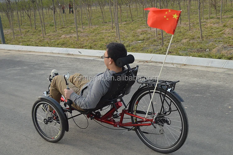 pedal adult trike 9.jpg