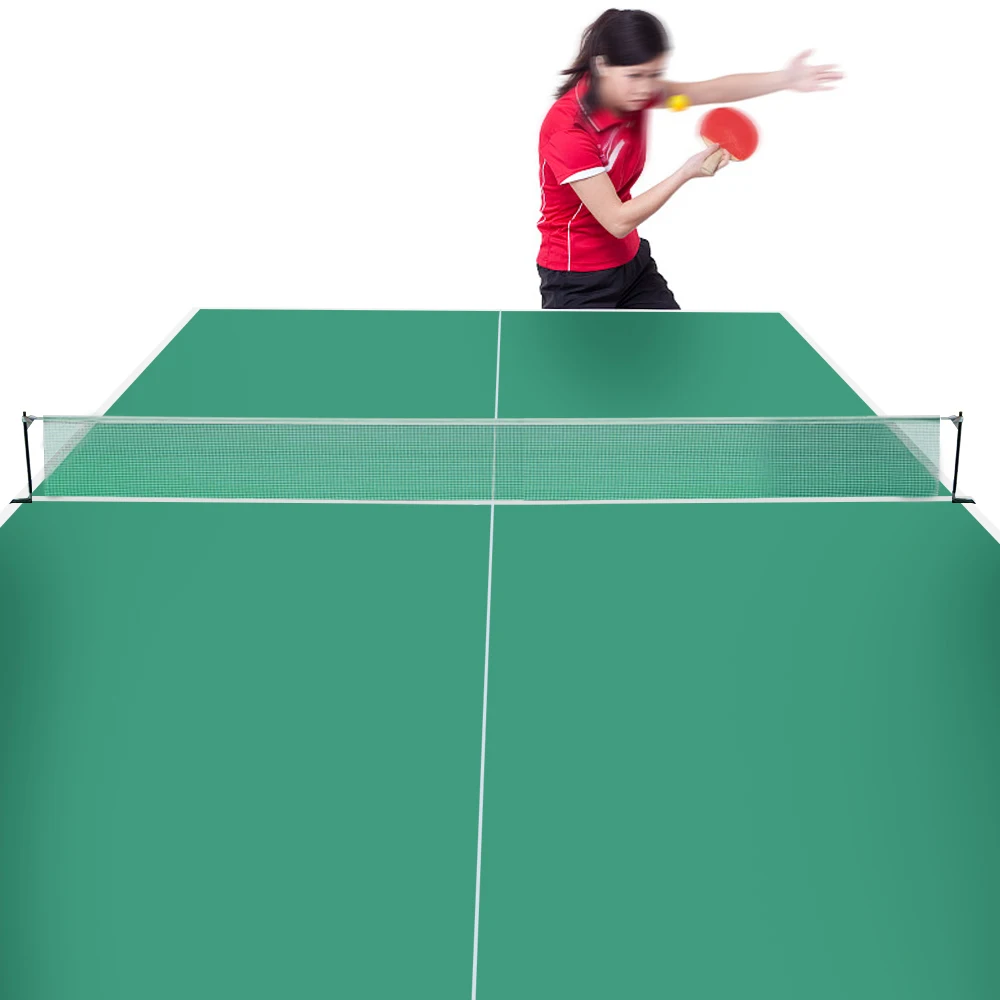 

REGAIL Table Tennis Strong Mesh Net Set Portable Net Kit Rack Replace Kit For Ping Pong Playing with 2 Ping Pong Balls