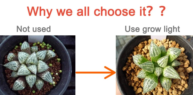 1_06