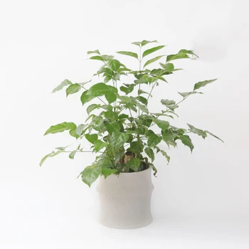 

Creative cement pen holder silicone mould concrete bamboo flowerpot simple and personalized office mould