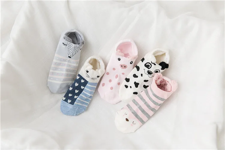 8344260278_268011360