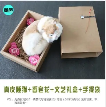 WYZHY Simulation Sleeping Cat Fragrant Flower Gift Box Fur Crafts Home Decoration Decoration Gift 21CMx17CMx6CM