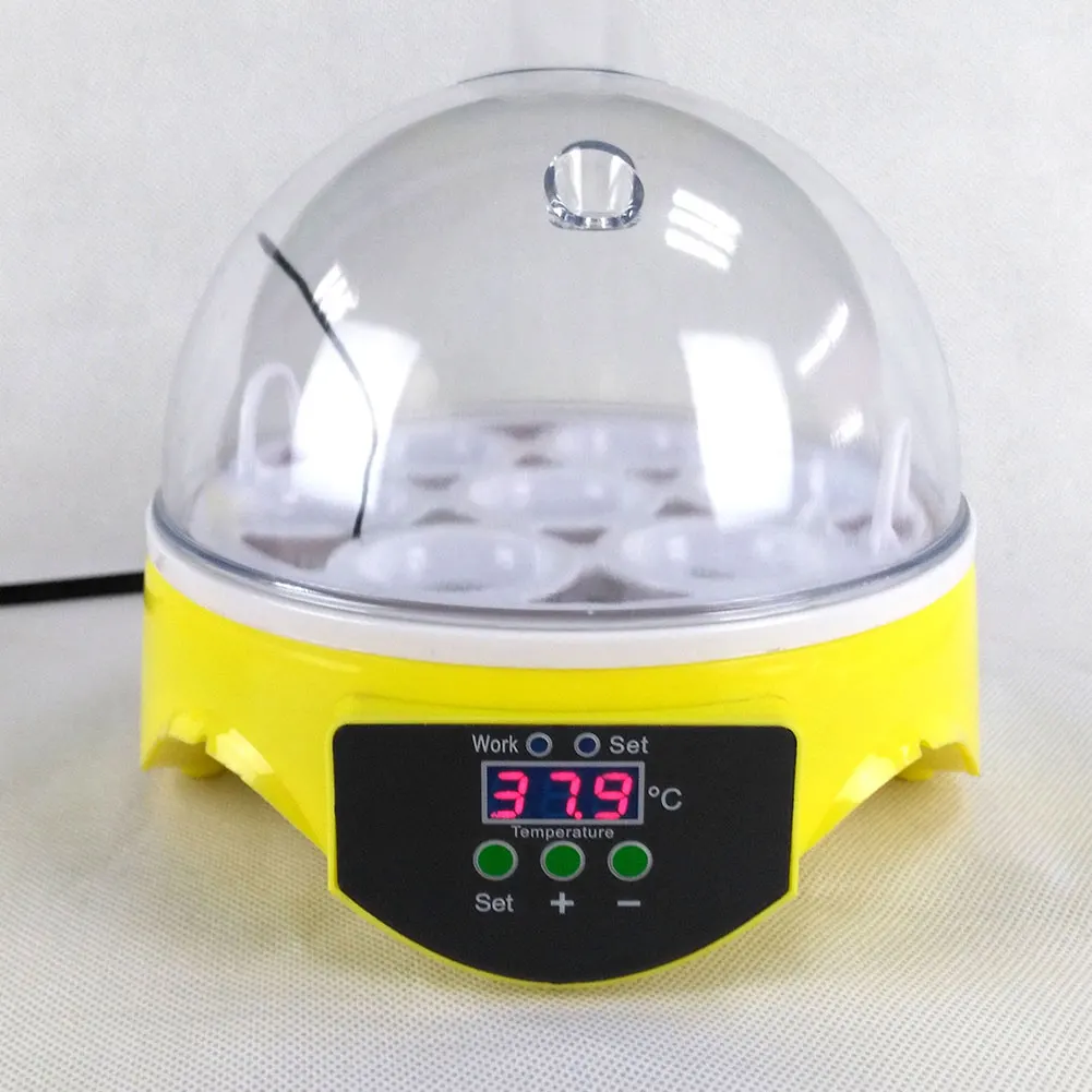7 Egg Automatic Incubator Poultry Incubator Brooder Digital Temperature Hatchery Egg Incubator Chicken Duck Bird 7 Egg Automatic Incubator Poultry Incubator Brooder Digital Temperature Hatchery Egg Incubator Chicken Duck Bird