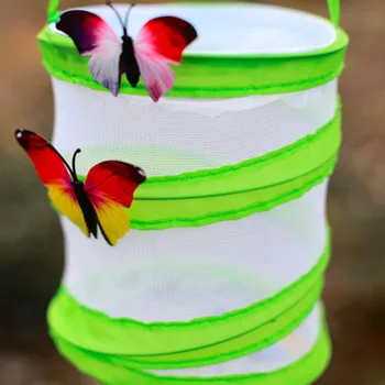 

Green Anti Insect Fly Trap Breeding Plant Mantis Butterfly Pray Catch Praying Cylindrical Plant Greenhouse Folding Cage Net