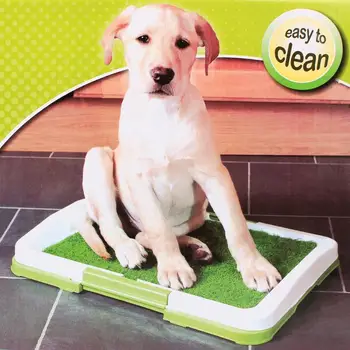 

1 Pc Plastic Dog Cat training tray Toilet Mat Training Supplies Potty Pad Tray Toilet Training Urinary Trainer Grass Mat Pee Pad