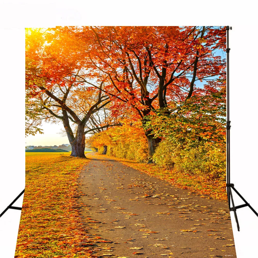 

Autumn Maple Trail Sunshine backdrop High-grade Vinyl cloth Computer printed children photo studio background