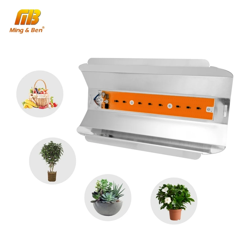 

Full Spectrum LED COB Grow Floodlight 80W 50W 30W AC220V Waterproof Phyto Lamp Acessories For Greenhouse Flower Plant Seeding