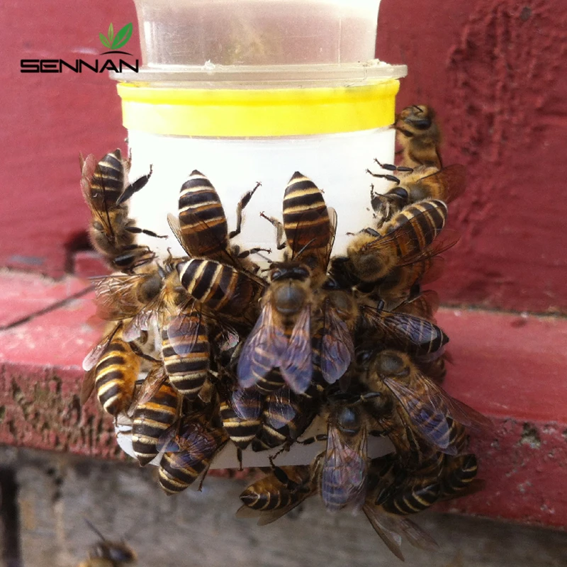 

1 Pcs Drinking Fountain Bee Queen Bee Drinking Water Equipment Easy Installation Easy To Operate Beekeeping Tools