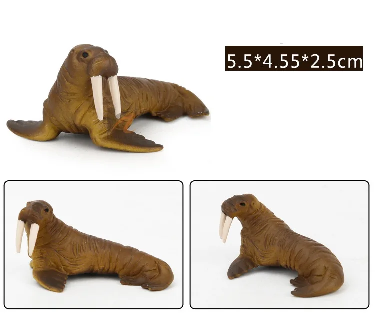 8733896078_1928765868