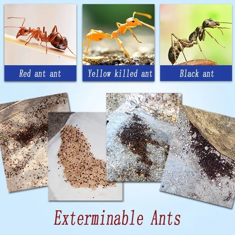 100 шт. мощная порошкообразная приманка для уничтожения муравьев, средство для отпугивания лекарств, ловушка для борьбы с вредителями, эффективное средство для уничтожения термитов, красные муравьи