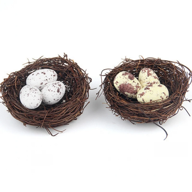 egg model