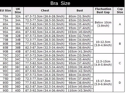 bra size