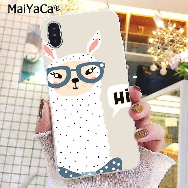 Lama Llama Alpacas Animal