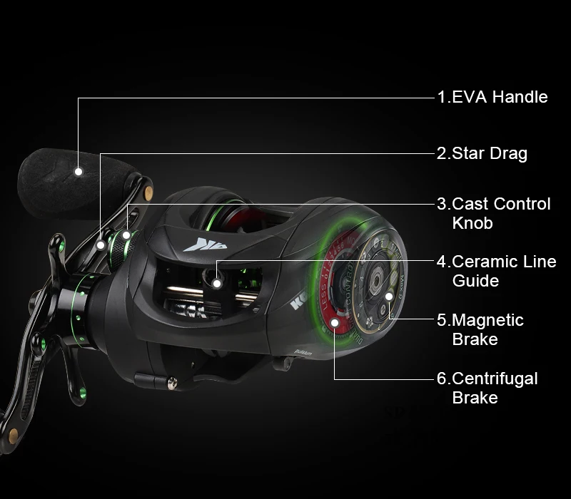 Spartacus Reel PC--Details (2)
