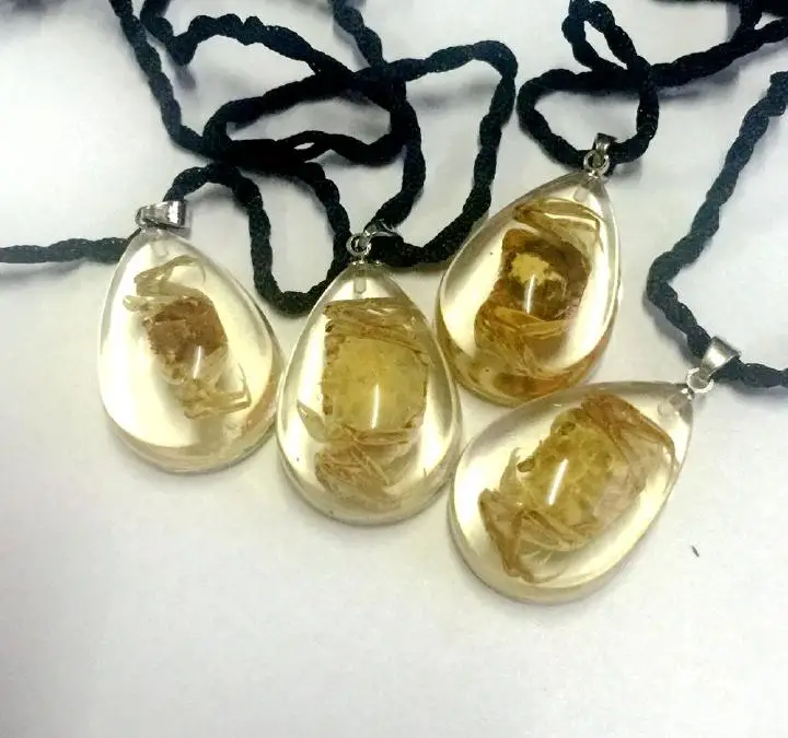 12 pcs lucid mini style drop real crab insect chic pendant | Украшения и аксессуары