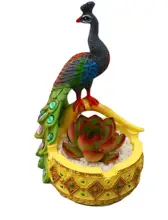 Peacock resin pots Cacti Succulent Plant Pot Flower Planter Mini Garden Design