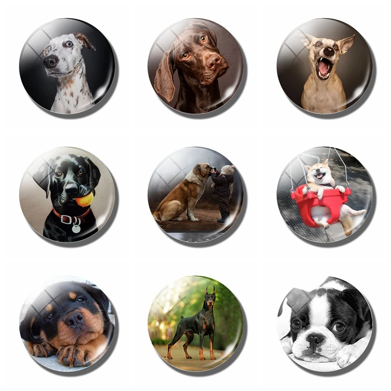 Dog decorative refrigerator lovely animal Lucky Cute dog 30MM fridge cat Stickers