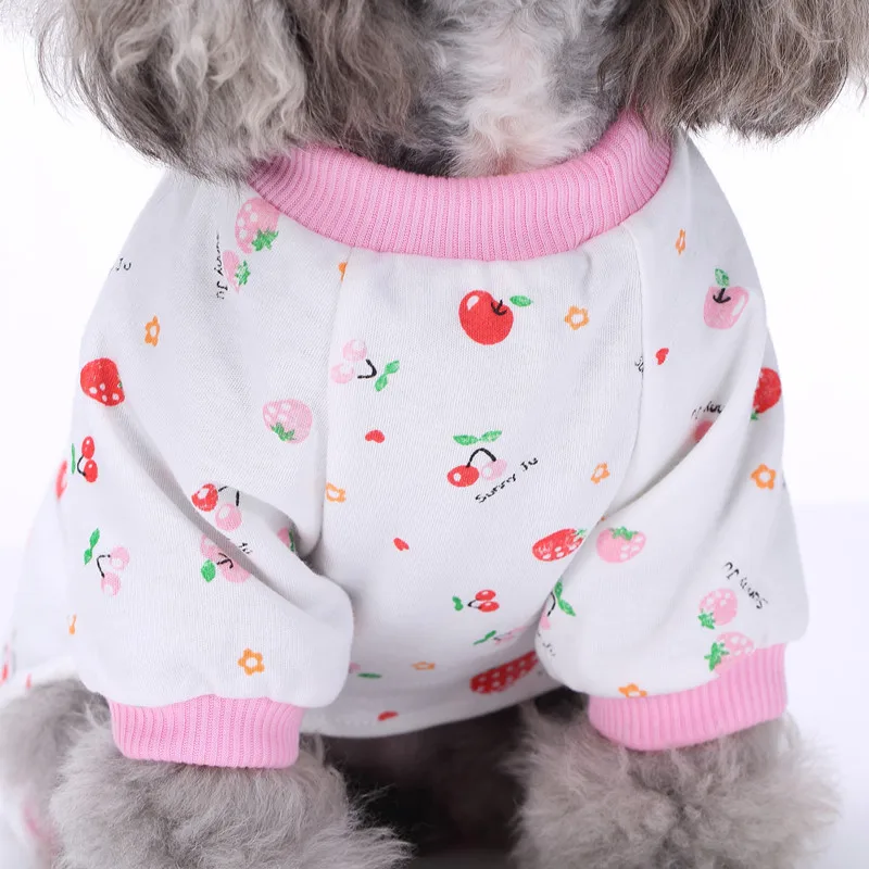 Dog_2387