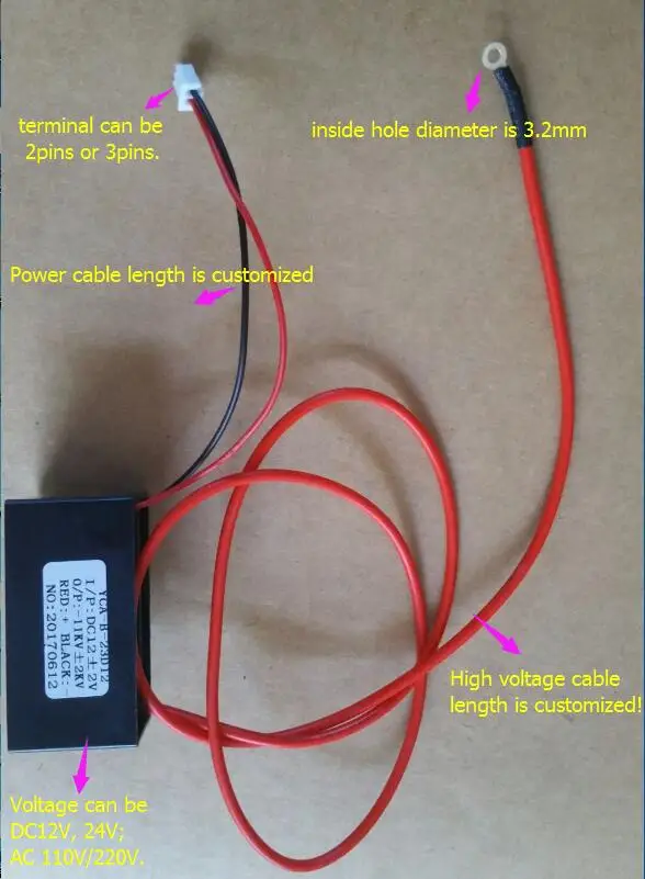 DC12V/24 V AC110V/220 V мощный угольные щетки Анион Генератор озона/ионизатор воздуха 10 миллионов/cm3 Удалить пыль 12 шт. старт