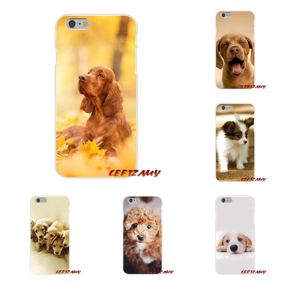 cocker spaniel puppy Slim Silicone phone Case For Samsung Galaxy S3 S4 S5 MINI S6 S7 edge S8 S9 Plus Note 2 3 4 5 8 | Мобильные
