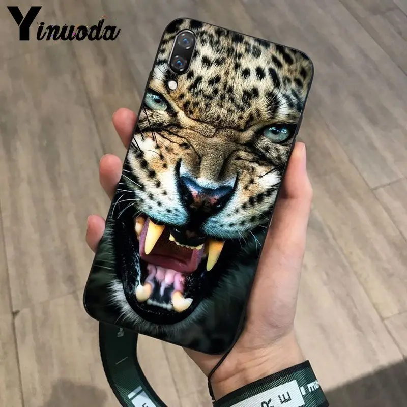 Tiger Leopard Print Panther