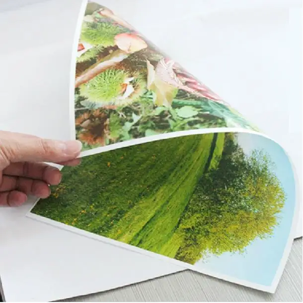 Multi Buy Deals A4 200gsm GLOSS TEXTURED FINE ART Photo Printing Paper 