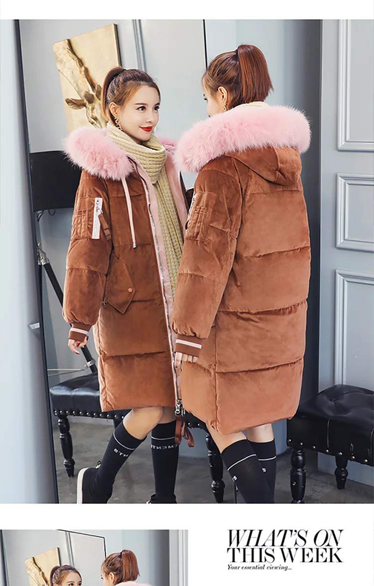 1_15_01.jpg