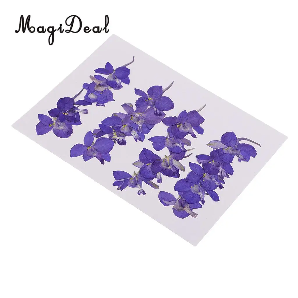 10 / 20Pcs Beautiful Real Pressed Rose Petal Babysbreath Flowers Dried Flowers for Art Craft Scrapbooking DIY Resin Jewelry