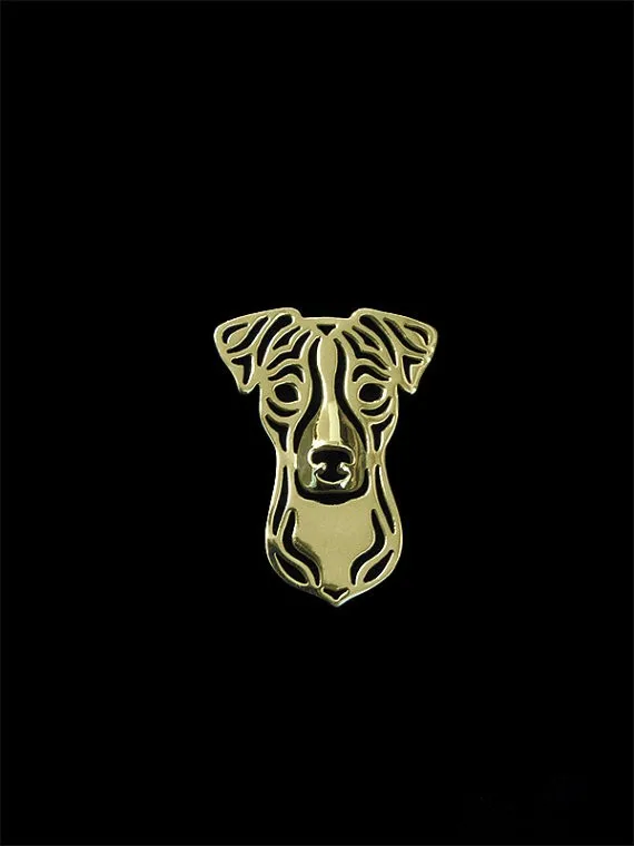 Jack Russell Terrier1