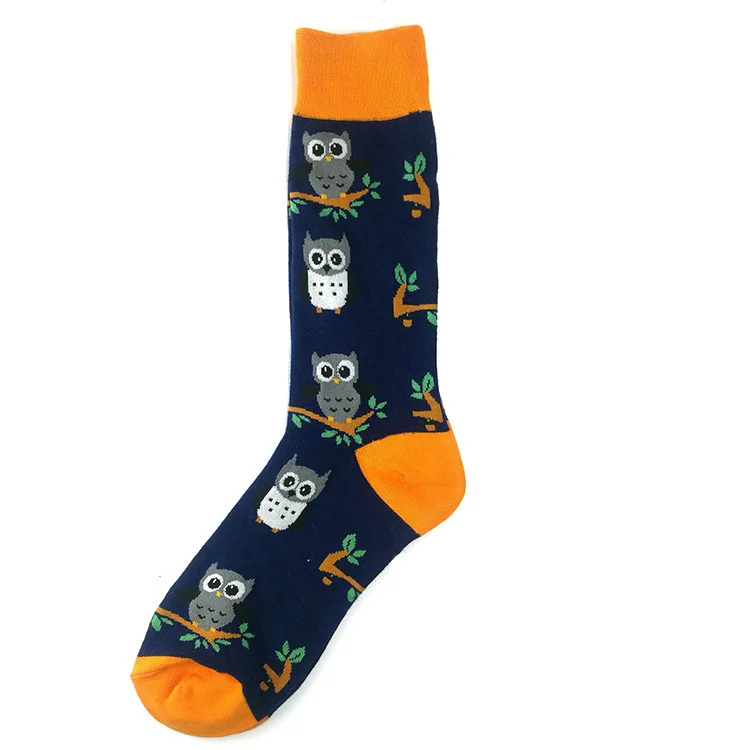 10509243120_54730976