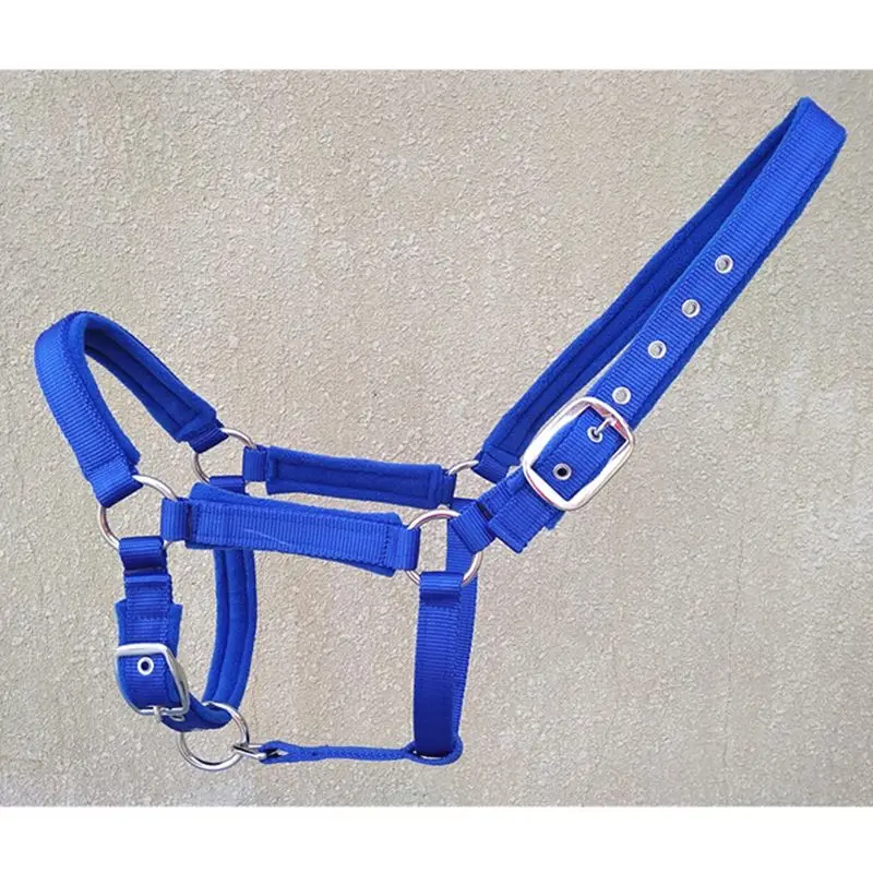 Blue Horse Halters Quality Red PP bing Horse Equipment Halter Horse