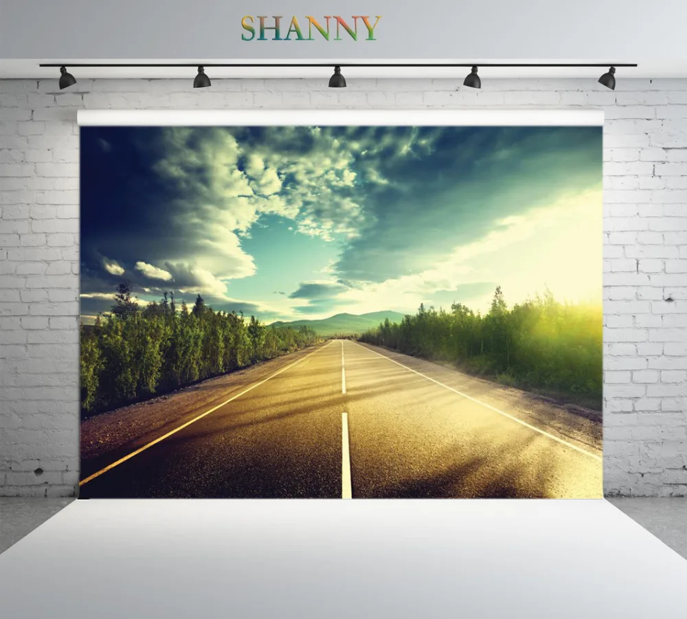 

SHANNY Vinyl Custom Photography Backdrops Props Road Scenery theme Photo Studio Background ML-15