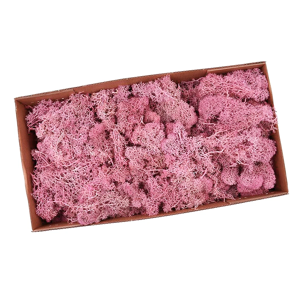 Colorful Artificial Moss Plant DIY Dried Reindeer Moss Floral Crafts Flowers for Plant Pot Garden Home Wedding Decor