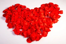 100pcs The wedding party in computer simulation of silk rose petals