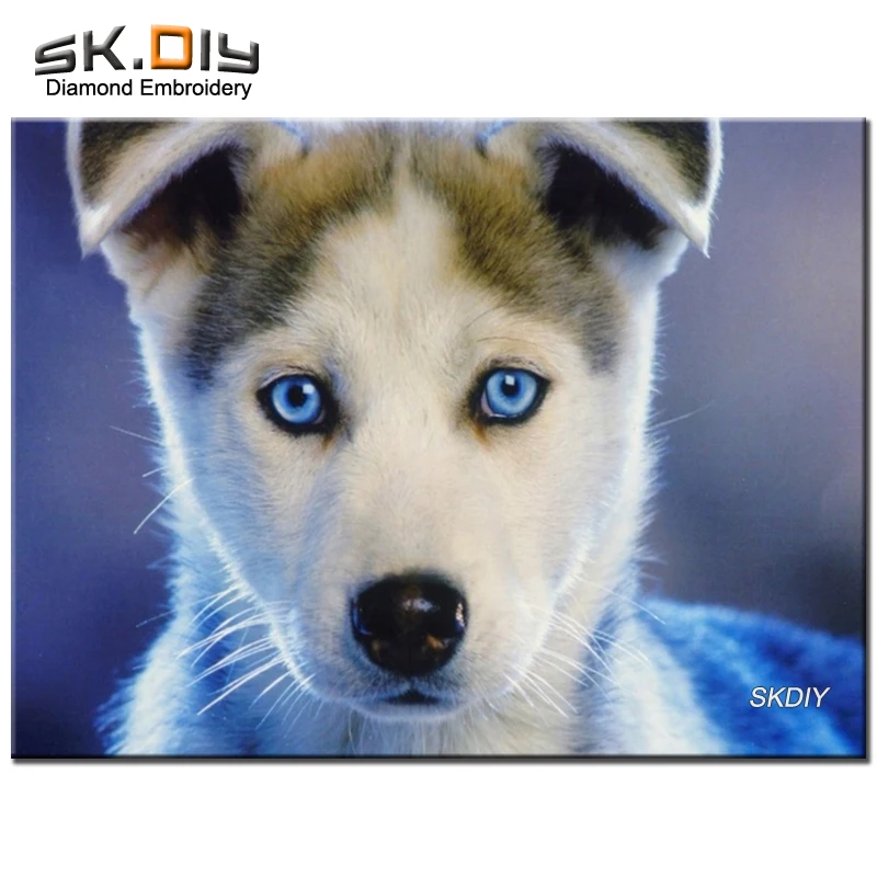 SK DIY 5D picture by rhinestones husky puppy blue eyed baby diamond painting diamond embroidery full square mosaic 3D mazayka (1)