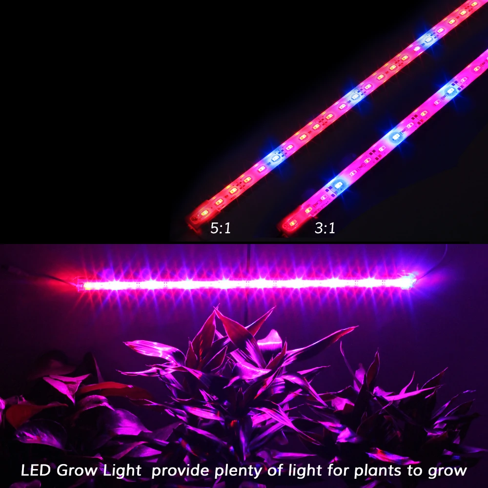 HTB1dA1QfXkoBKNjSZFkq6z4tFXaQ