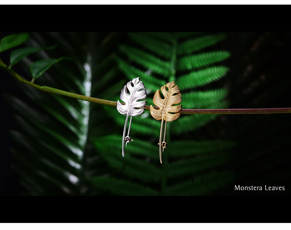 LFJK0042-Monstera-Leaves_02