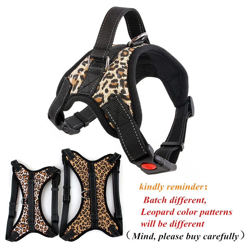 4675074794_906868034