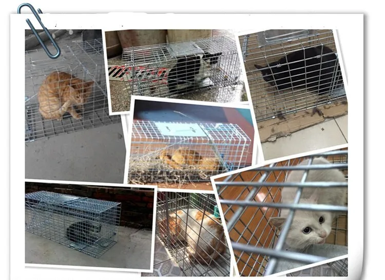 Petite Peche Chat Cage Dispositif De Pliage Piege Cage Catch Belette Catch Chien Lapin Cage Capture Ecureuil Catch Chats Aliexpress