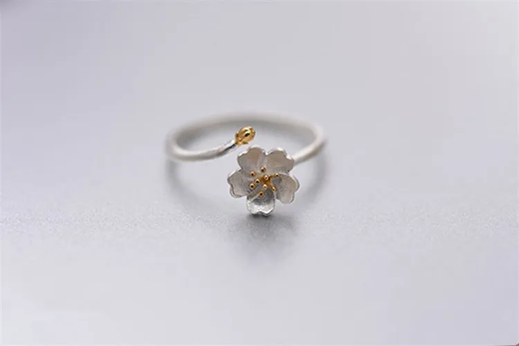 4757623584_902822302