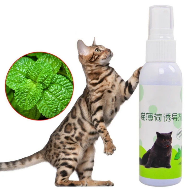 

Cat Mint Pet Training Toy Natural Healthy Organic Premium Catnip Cat Mint Menthol Flavor Cats Treats Funny Toy scratcher Spray