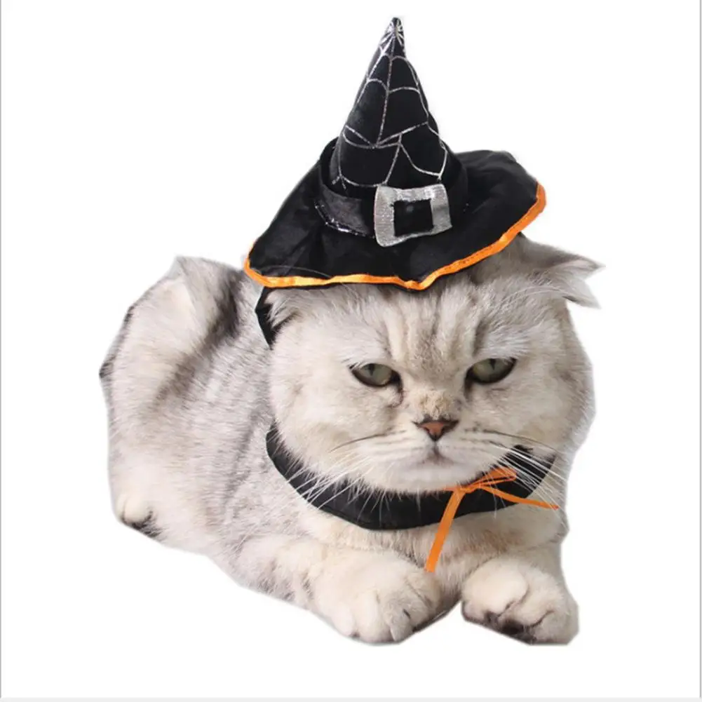 Сделать шляпу кота в сапогах своими руками для мальчика. Шапочка кота из бумаги. Шляпка ведьиы для кошки. Шляпа кота в сапогах своими руками. Собака в шляпе.