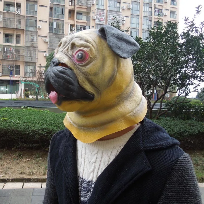 2613003799_2081277280