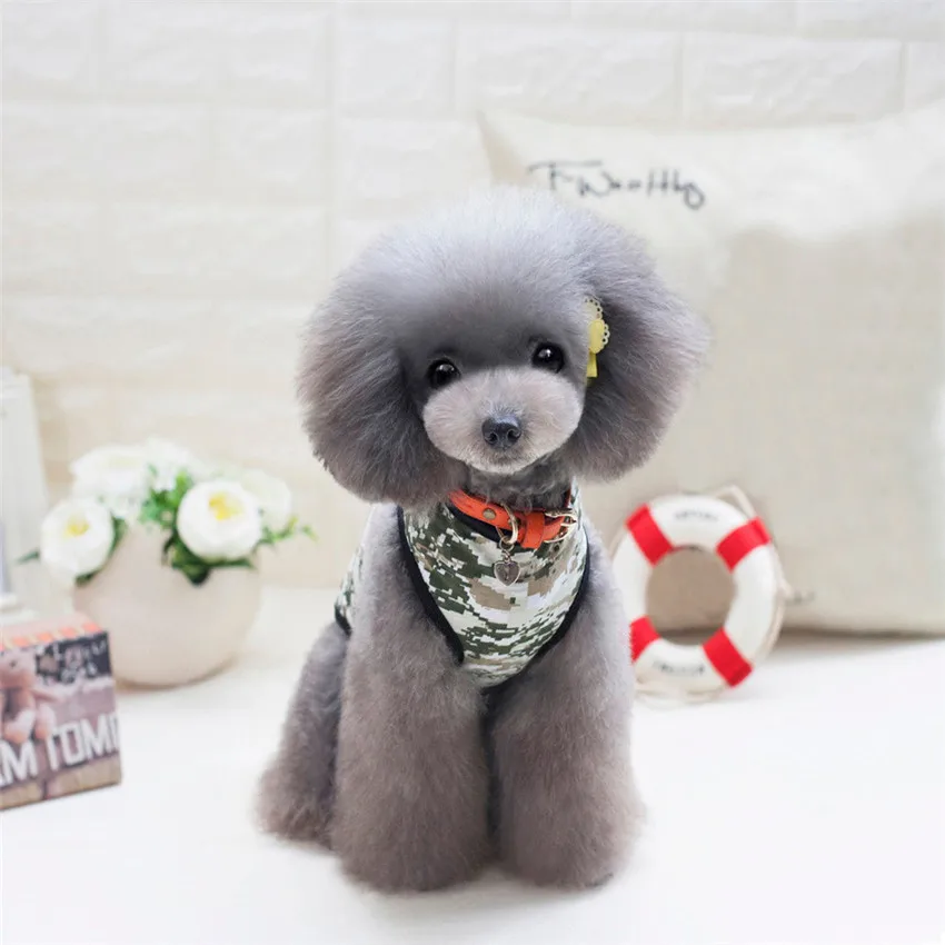 Buy D3 2017 roupa para cachorro dog clothes shirt Pet