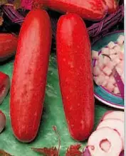 free ship red cucumber seeds Fruit Vegetables Seeds flower pots planters 20 seeds