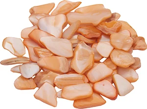 T2sU7TXFBXXXXXXXXX_!!267921836.jpg_400x400