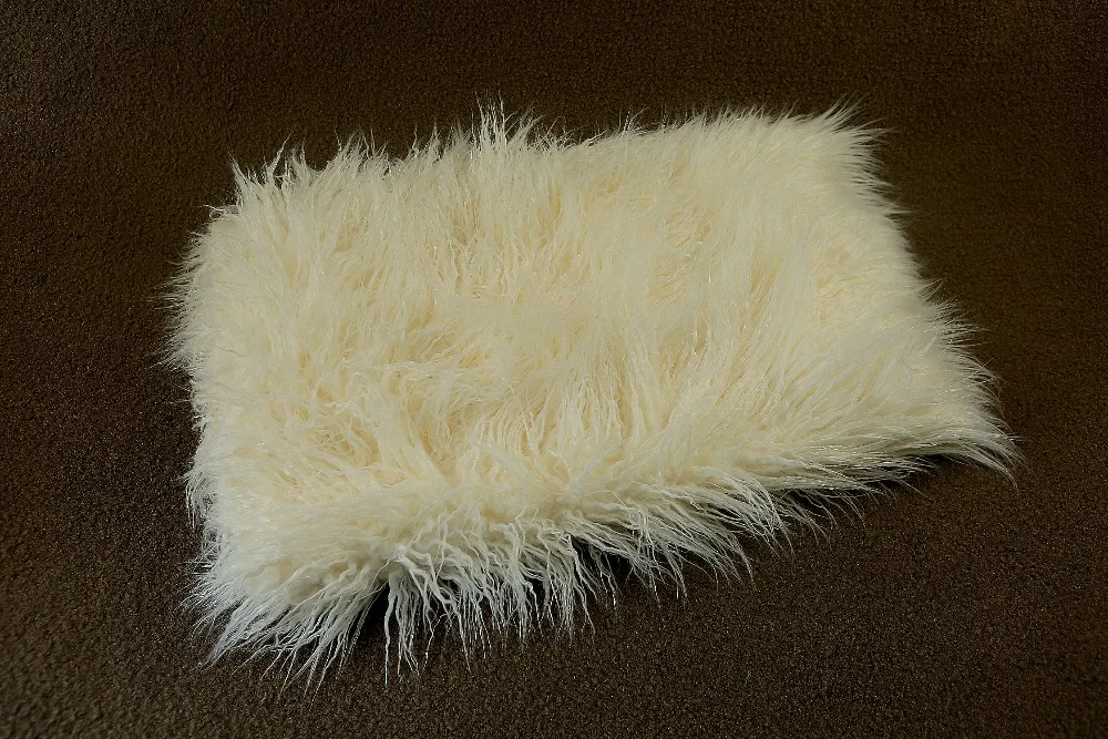 FP4A9249