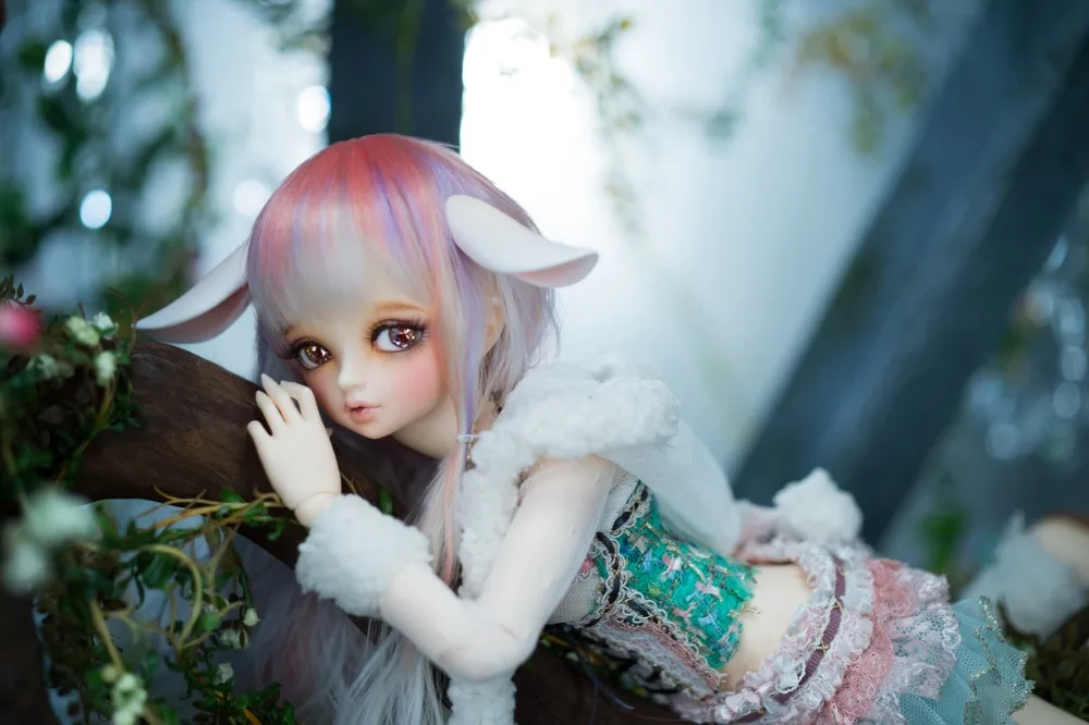 MNF_Rin_Sheep04